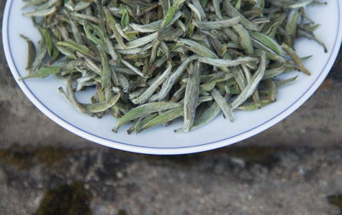 千年茶韵，固始青峰云雾 信阳毛尖的山水精魂