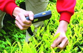 茶农有了“移动助手” 春茶好种更好卖了